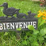 Les De L'ile